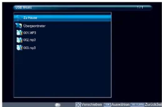 TOSHIBA 58L5353 - Musikdateien abspielen - 3