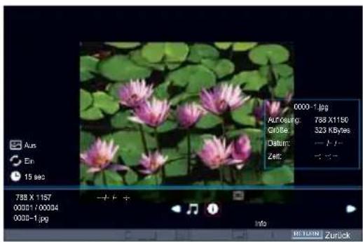 TOSHIBA 58L5353 - Fotoinformationen - 1