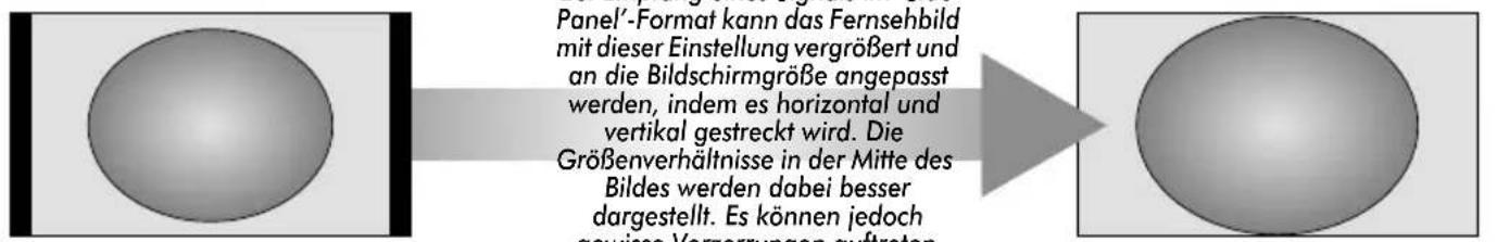 TOSHIBA 52XV553 - Anzeige im Breitbildformat - 2