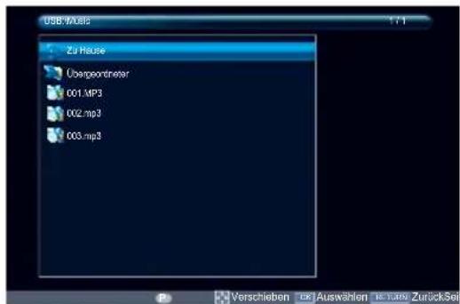 TOSHIBA 50L5353 - Musikdateien abspielen - 3