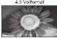 PANASONIC TH-37PV71F - Bildseitenverhältnis - 6