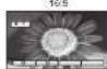PANASONIC TH-65PX600 - Bildseitenverhältnis - 1