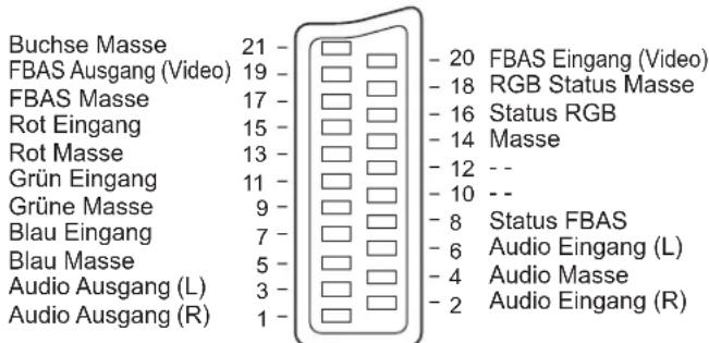PANASONIC TH-65PV500 - Hinweise zur Scart- und S-Video-Buchse - 1