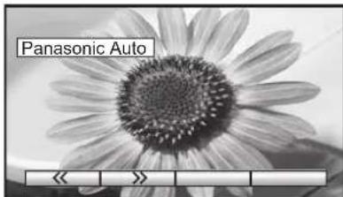 PANASONIC TH-65PV500 - Hinweise: - 3