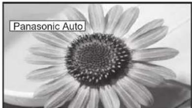 PANASONIC TH-65PV500 - Hinweise: - 2