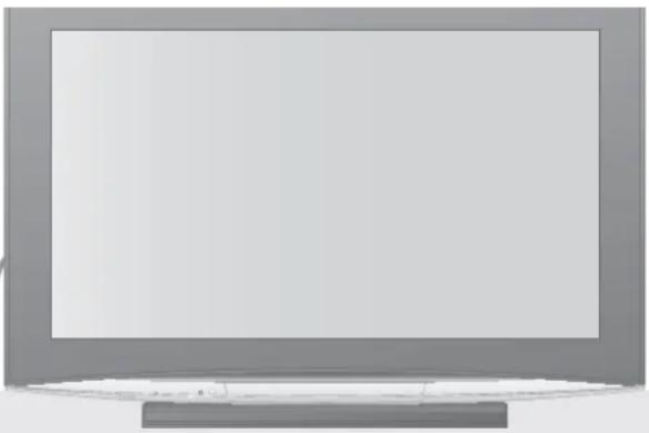 PANASONIC TH-58PY800 - Handhabung von Netzstecker und Netzkabel - 2