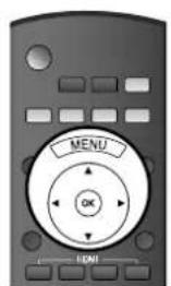 PANASONIC TH-50VX100 - Wahl der Menüsprache für die Bildschirmanzeige - 3
