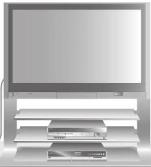 PANASONIC TH-42PV60 - Handhabung von Netzstecker und Netzkabel - 2