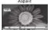 PANASONIC TH-42PV60 - Bildseitenverhältnis - 2
