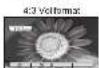 PANASONIC TH-42PV60 - Bildseitenverhältnis - 5