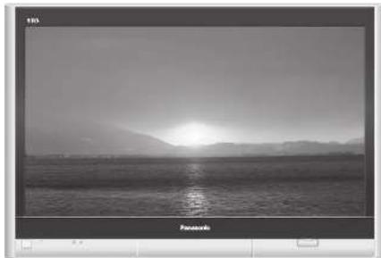 PANASONIC TH-42PV60 - Panasonic® - 1