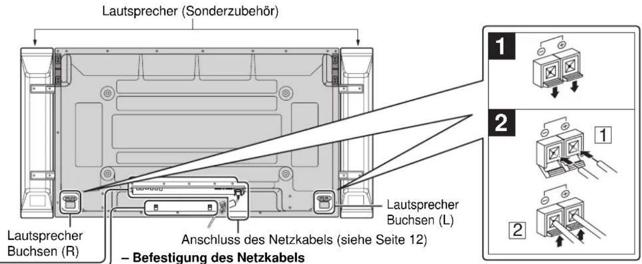 PANASONIC TH42PH11 - Anschlüsse - 1