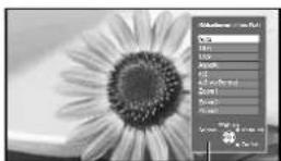 PANASONIC TX-P65V10 - Manuelles Umschalten des Bildseitenverhältnisses - 2