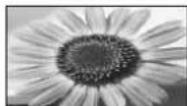 PANASONIC TX-P65V10 - Manuelles Umschalten des Bildseitenverhältnisses - 10