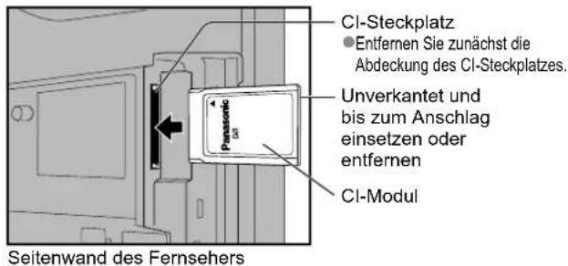 PANASONIC TX-P65V10 - Vorsicht - 1