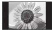 PANASONIC TX-P54Z1 - Typische Standbilder Programmposition und andere Logos - 1