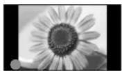 PANASONIC TX-P58V10 - Typische Standbilder - 1