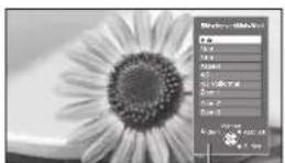 PANASONIC TX-P50C10 - Manuelles Umschalten des Bildseitenverhältnisses - 2
