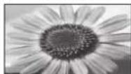 PANASONIC TX-P46Z1E - Manuelles Umschalten des Bildseitenverhältnisses - 10