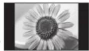 PANASONIC TX-P46Z1E - Typische Standbilder Programmposition und andere Logos - 1