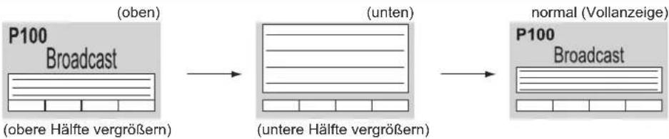 PANASONIC TX-P46Z1E - Ganz / Oben / Unten - 4