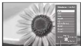 PANASONIC TX-P46Z1E - Manuelles Umschalten des Bildseitenverhältnisses - 2