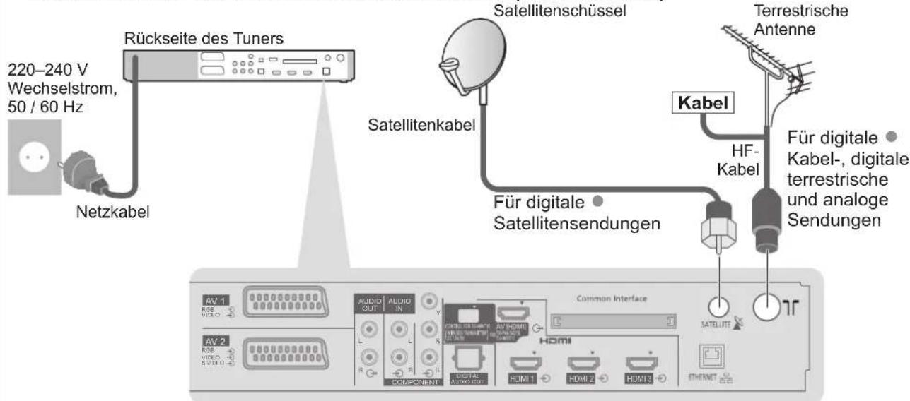 PANASONIC TX-P46Z1E - Anschließen des Tuners und der Satellitenschüssel / Antenne / externen Geräte - 1
