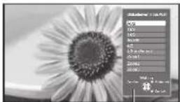 PANASONIC TX-P46S10 - Manuelles Umschalten des Bildseitenverhältnisses - 2
