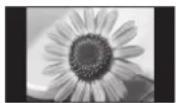 PANASONIC TX-P46G15 - Typische Standbilder - 1