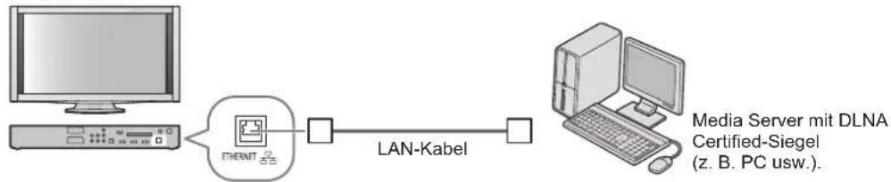 PANASONIC TX-P46Z11 - Beispiel 2 - 1