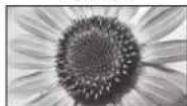 PANASONIC TX-P42U10E - weis - 1