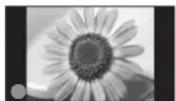 PANASONIC TX-P42U10E - Typische Standbilder - 1
