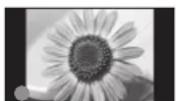 PANASONIC TX-P42S20 - Typische Standbilder - 1