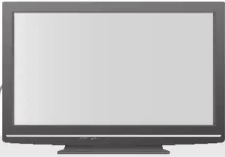 PANASONIC TX-P42S10ES - Handhabung von Netzstecker und Netzkabel - 1