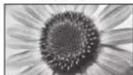 PANASONIC TX-P42GA11 - weis - 1