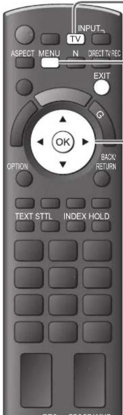 PANASONIC TX-P42GA11 - DVB-T-Programme oder analoge Programme - 13