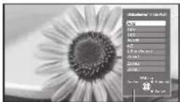 PANASONIC TX-P42GA11 - Manuelles Umschalten des Bildseitenverhältnisses - 2
