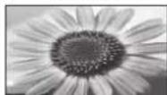 PANASONIC TX-P42G15 - Manuelles Umschalten des Bildseitenverhältnisses - 10