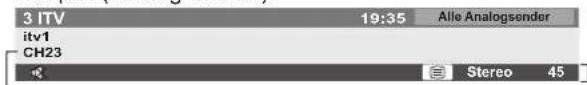 PANASONIC TX-P42C10ES - Anzeigen des Informationsbanners - 3