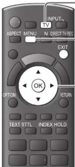 PANASONIC TX-P42C10ES - DVB-T-Sender - 1