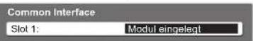 PANASONIC TX-P42C10ES - Rufen Sie „Common Interface“ auf. - 1