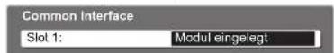 PANASONIC TX-P37X10Y - Rufen Sie „Common Interface“ auf. - 1