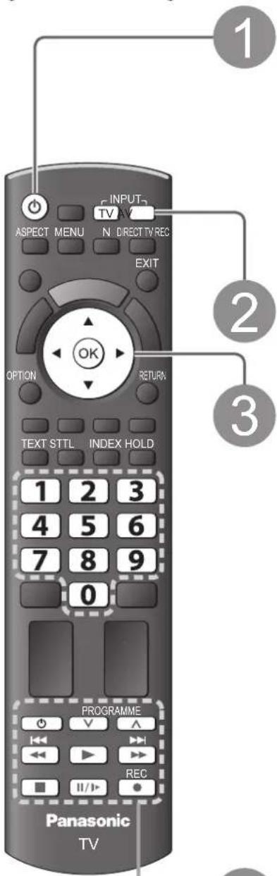 PANASONIC TX-P37X10Y - Betrachten von externen Eingangssignalen - 1
