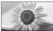 PANASONIC TX-P37X10Y - Manuelles Umschalten des Bildseitenverhältnisses - 2