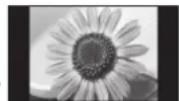 PANASONIC TX-P54Z11 - Typische Standbilder Programmposition und andere Logos - 1