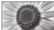 PANASONIC TX-L37GA11 - weis - 1