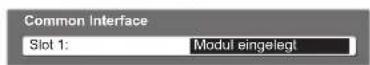 PANASONIC TX-L37G15E - Setzen Sie das CI-Modul (separat erhältlich) in den CI-Steckplatz ein. - 12