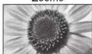 PANASONIC TX-L32GA11 - weis - 1