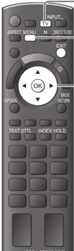 PANASONIC TX-L32GA11 - DVB-T-Programme oder analoge Programme - 5