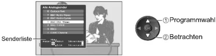 PANASONIC TX-L32X15 - Abhängig vom gewählten Land wird der Programmassistent möglicherweise nicht unterstützt. - 1